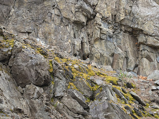 Schiefer - Typisches Gestein im Harz, Deutschland