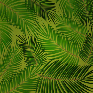 Palm Leaf Vector. Seamless pattern. Background Illustration EPS10