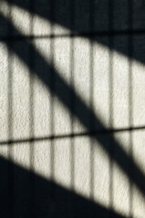 Line Stripes Shadow
