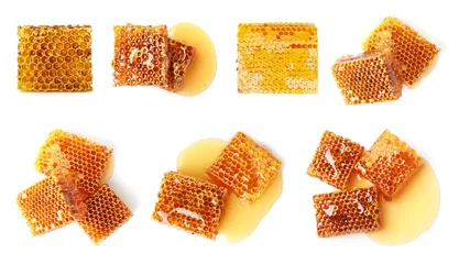 Tuinposter Set with sweet honeycomb pieces on white background, top view © New Africa