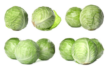 Fototapeta premium Set with fresh cabbages on white background