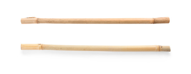 Set with dry bamboo sticks on white background