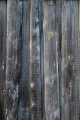 Texture of old gray boards. Vertical background.