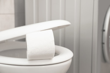 Toilet bowl with paper roll in bathroom. Space for text