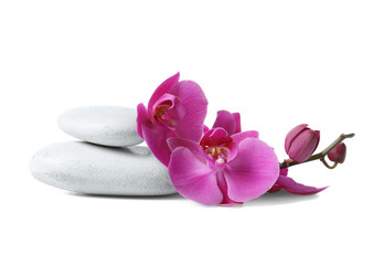 Fototapeta na wymiar Spa stones and orchid flowers on white background