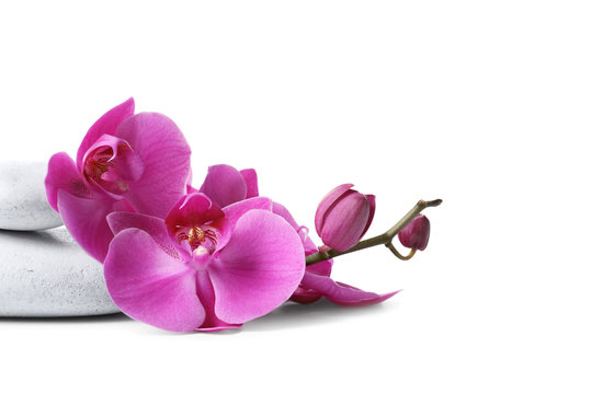 Fototapeta Spa stones and orchid flowers on white background