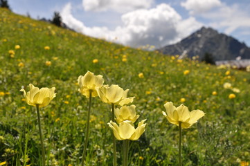 Obraz premium Wanderung zur Spronser Seenplatte in Südtirol bei Meran