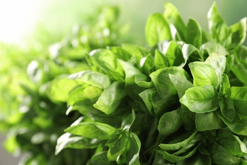 Fresh green basil leaves on blurred background, closeup