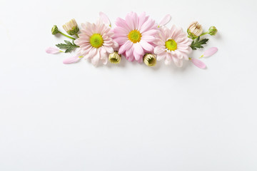 Fototapeta premium Beautiful chamomile flowers on white background, flat lay with space for text
