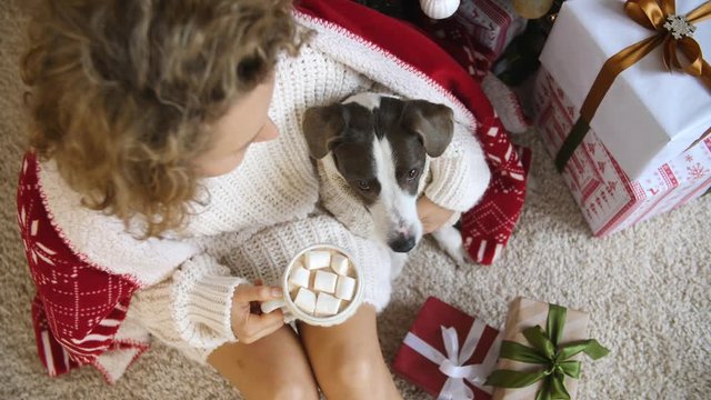 Woman And Dog In Cozy Knitwear Celebrating Christmas At Home.