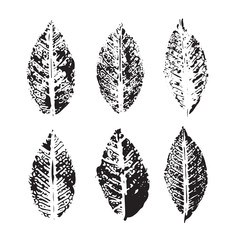 Set of vector Leaf imprints. Collection of leaves imprints on transparent background. Grunge leaves. Design elements. Leaf stamp