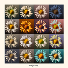 Margariete