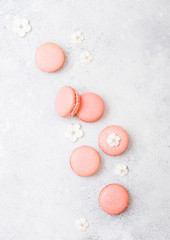 Pink dessert cake macaron or macaroon with white sweet flowers on stone kitchen background. Top view