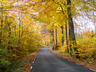 Fototapeta premium South Sweden in October