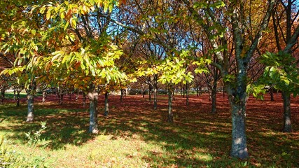 Old factory in Aveiro, Portugal