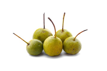 European wild pear on white background
