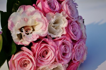 Розова палитра роз