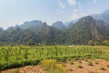  Beautiful view of plantations, rice paddies and karst limestone mountains near Vang Vieng,...