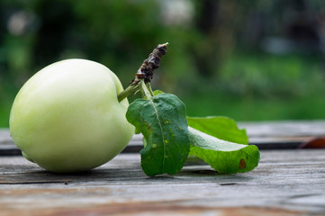 Fresh green apple on a rustic wooden table. Harvest time. Healthy foods.