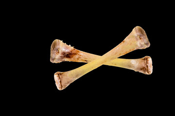 Two crossbones from the chicken leg against a black background