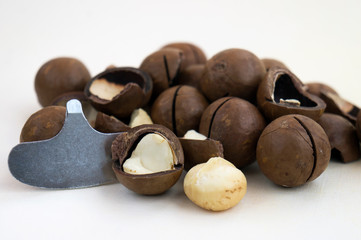 Macadamia nuts open and in the shell and nut cracker on light background