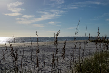 Beach grass in foreground of Gulf of Mexico at sunset