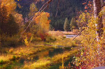 Rock Creek, Montana, Rocky Mountains, Fall
