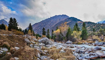 Fototapeta na wymiar mountain river with large stones in the background of the mountains with various trees and dry grass