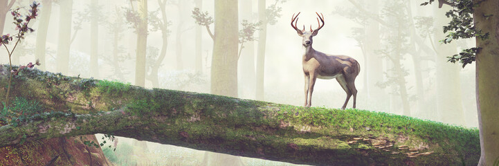 deer standing on fallen tree bridge in beautiful foggy forest landscape
