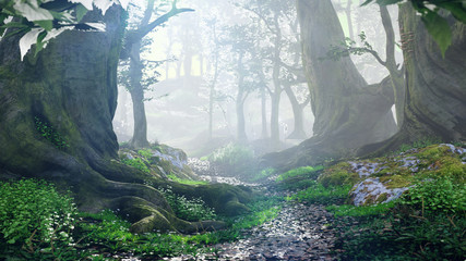 Naklejka premium ścieżka przez magiczny las o wschodzie słońca, tajemnicze stare drzewa, krajobraz fantasy