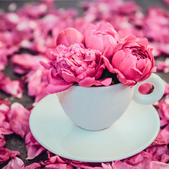 Close up light pink peony flowers bouquet in a decorative cup and saucer on dark background with...