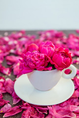 Close up purple pink peony flowers bouquet in a decorative cup and saucer on dark background with...