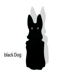 Sitting black dog with big ears