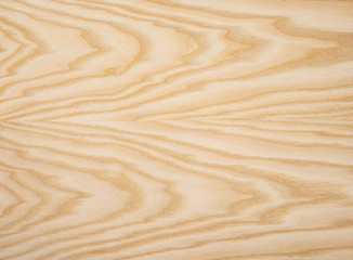 Wood texture of white ash tangential veneer close-up 