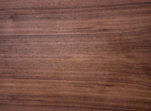 Wood texture of natural american black walnut radial cut with oil wax finish 