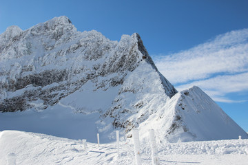 Swiss Alps 61