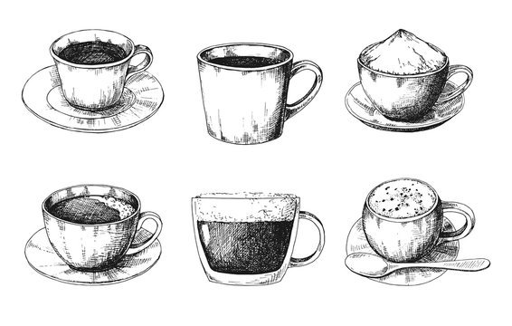 Sketch different mug of coffee on a saucer. Vector illustration of a sketch style.