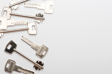 keys to the apartment. house keys