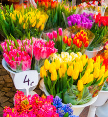 Bunches of tulips for sale in Wroclaw