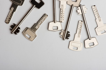 keys to the apartment. house keys