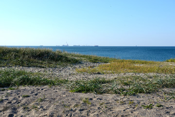 Sandy shore of the Baltic Sea