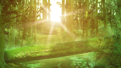 Fototapeta na wymiar fallen tree, natural bridge in magical forest, intense sunshine in fantasy forest landscape