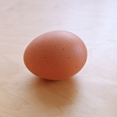 egg on wooden background