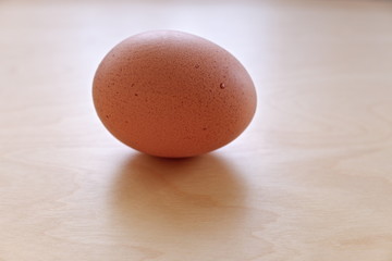 brown egg on wooden background
