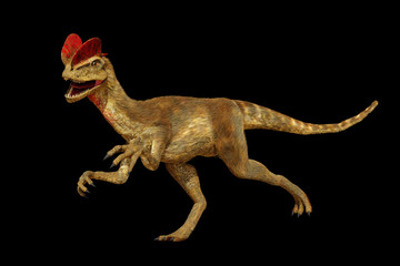 Dilophosaurus, theropod dinosaur from the Early Jurassic period (3d render isolated on black background)