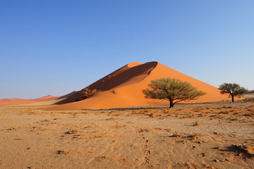 Red dune in Sosussvlei