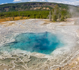 Artemisia Geyser at Biscuit Basin, Yellowstone National Park, Wyoming, USA