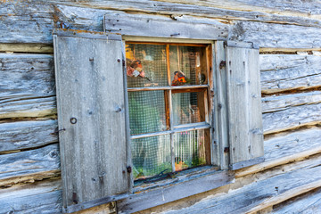 Fenster aus Holz eines alten Gebäudes aus Holz