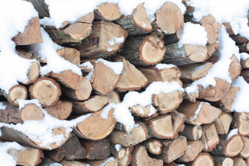  firewood under the snow