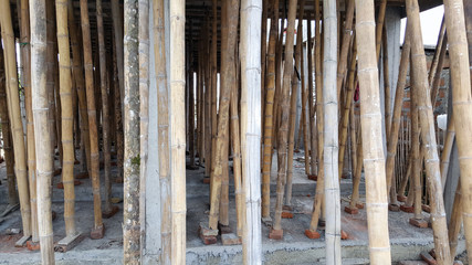 Bamboo pier footings at the beach, San Lorenzo, Ecuador.